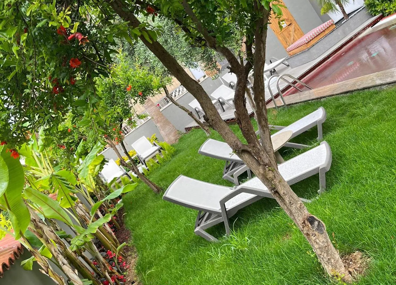 Wolf Suites Antalya Apartment