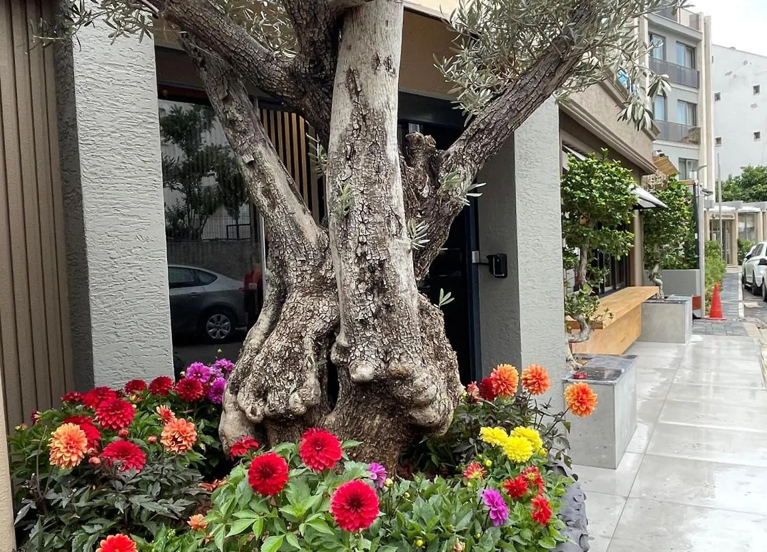 Wolf Suites Antalia